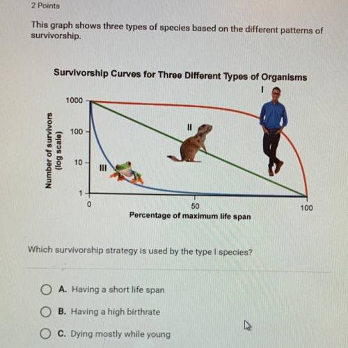 Which survivorship strategy is used by the type I species? A. Having a short life span B. Having a h