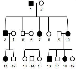 The pedigree chart below shows the inheritance of a genetic disorder in three generations of one spe