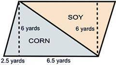 A farmer has decided to divide his land area in half in order to plant soy and corn. Calculate the a