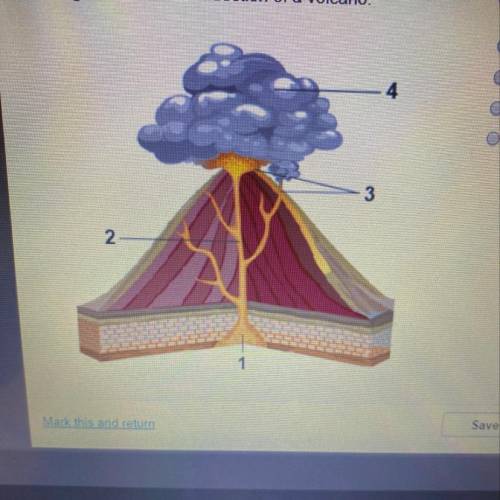 The image shows a cross section of a volcano. Which number shows the magma chamber?