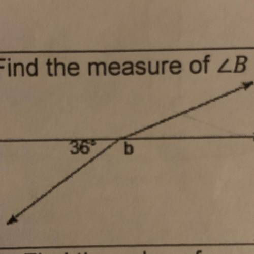 Find the measure of b