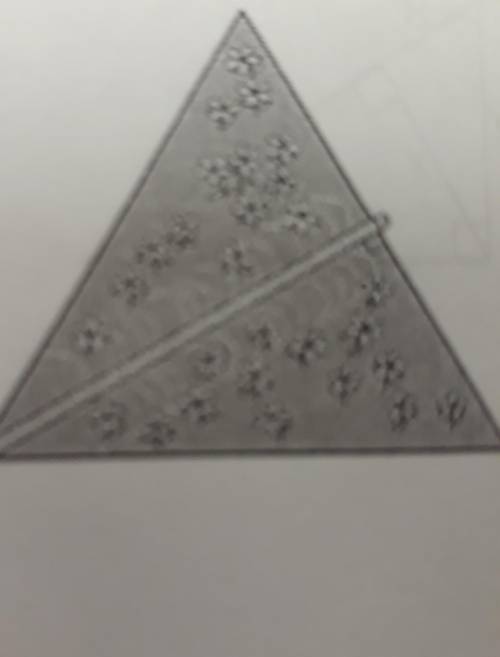 NEED HELP ASAP. A garden in the shape of an equilateral triangle measures 6 feet on each side. An ir