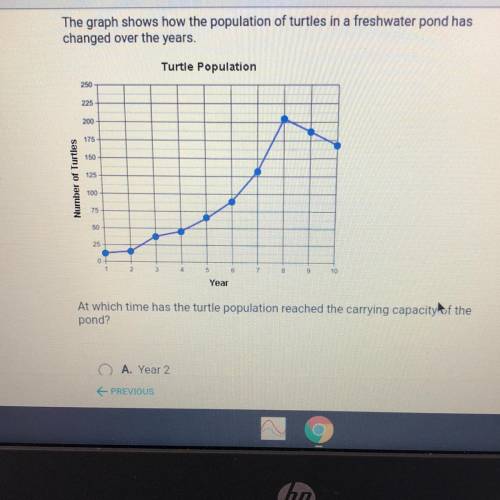 At which time has the turtle population reached the carrying capacity of the pond? A. Year 2 B. Year