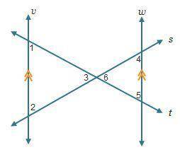 Line v is parallel to line w.  Which set of statements about the angles is true?