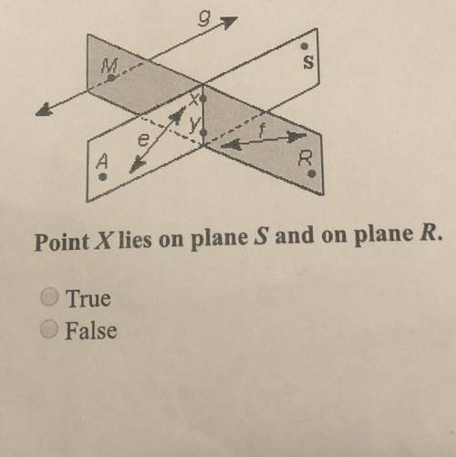 Point X lies on plane S and on plane R. True or false?