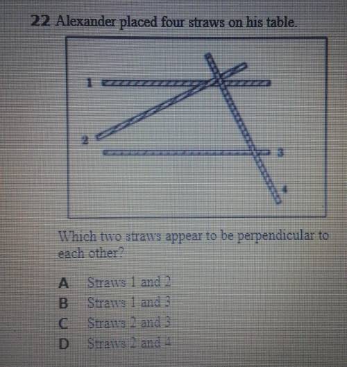 Alexander placed four straws on his table.Which two straws appear to be perpendicular toeach other?A
