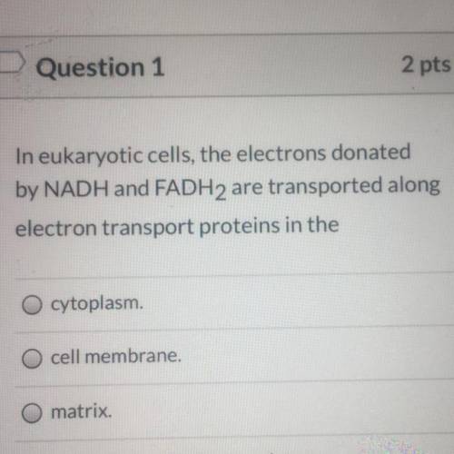 Please do anyone know the answer