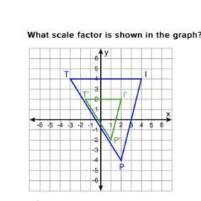 What scale factor is shown in the graph? a.) 2 b.) -1/2 c.) -2 d.) 1/2