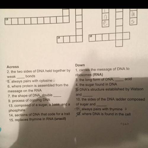 DNA/RNA Crossword 7-Science