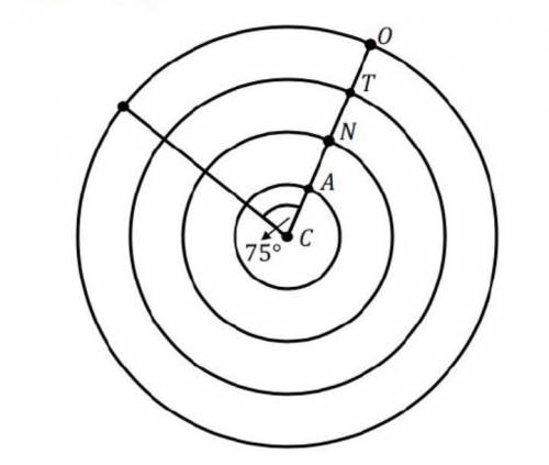 HELP !! Given the concentric circles with center C and with angle C=75, where the inner circle has a