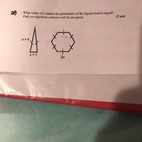 What is the answer? Please someone help me