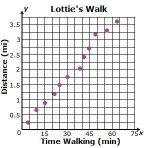 The scatter plot below shows the distances Lottie traveled on different morning walks. Which type of