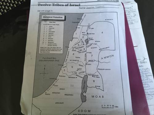 The tribal land east of the Dead Sea was controlled by the _________ tribe. HELPPPP Pictures are att