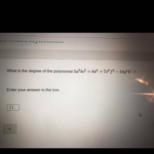 What is the degree of the polynomial?  Can someone please check my work?