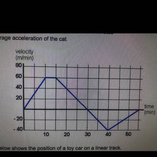 Calculate the average acceleration of the cat.