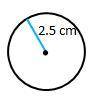 Find the circumference of the circle. Round your answer to the nearest centimeter. A. 8cm B. 16cm C.