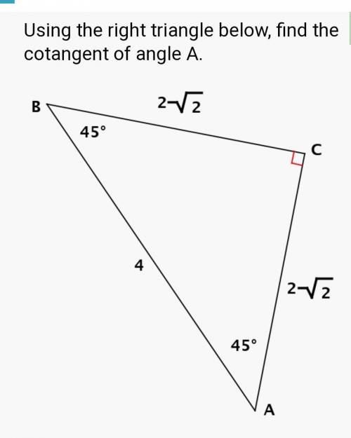 #1 math please help triangle fun