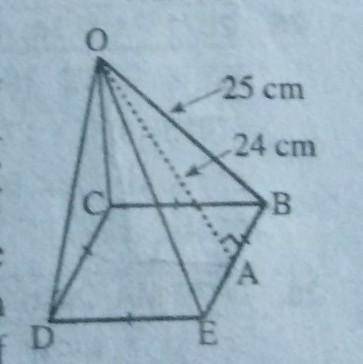 Given figure is a squarebased pyramid where OA = 24 cmand OB = 25 cm, find the volume of Dthe pyrami
