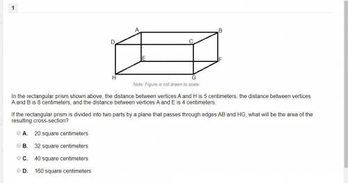 HELP 8 POINTS answer i will thank you and brainliest