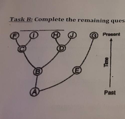 Task B: Complete the remaining questions with your triad.Base your answers to #1-4 on the tree below