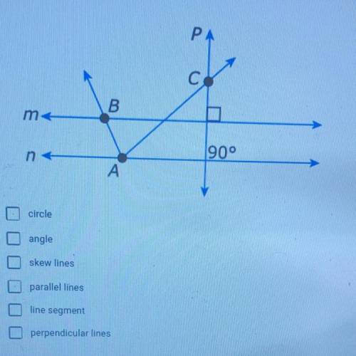 Which terms are demonstrated in the figure below? Select ALL that apply. circle angle skew lines par