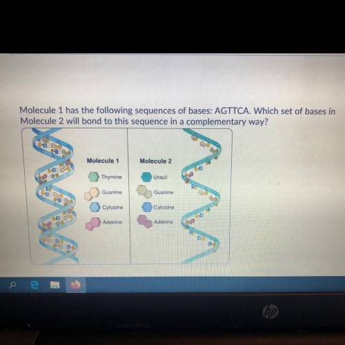 Molecule 1 has the following sequence of bases: AGTTCA. which set of bases in molecule 2 will bond t
