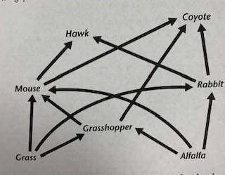 Which organism in the food web above is sometimes a first-level consumer and sometimes a second-leve