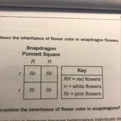 Which statement BEST explains the inheritance of flower color in snapdragons? A. The allele for pink