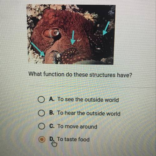 Look at the structures in the picture below. What function do these structures have? O A. To see the