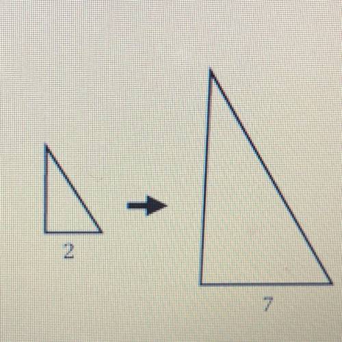 The first triangle is dilated to form the second triangle. What is the scale factor? Please show you