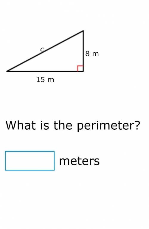 What is the perimeter of this triangle ⬆️