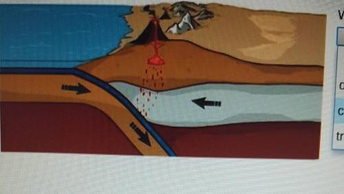 What type of plate boundary is this?