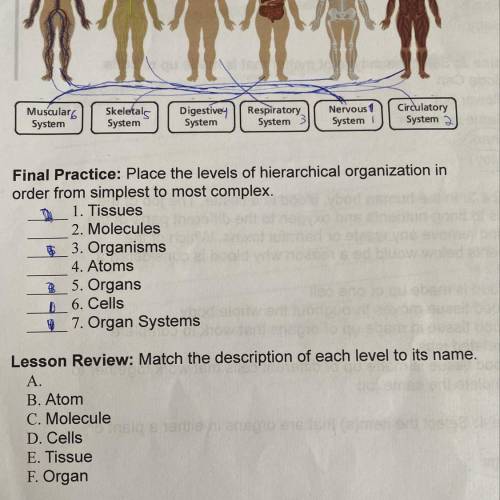Final Practice: Place the levels of hierarchical organization in order tom simplest to most complex.