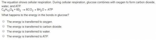 The equation shows cellular respiration. During cellular respiration, glucose combines with oxygen t