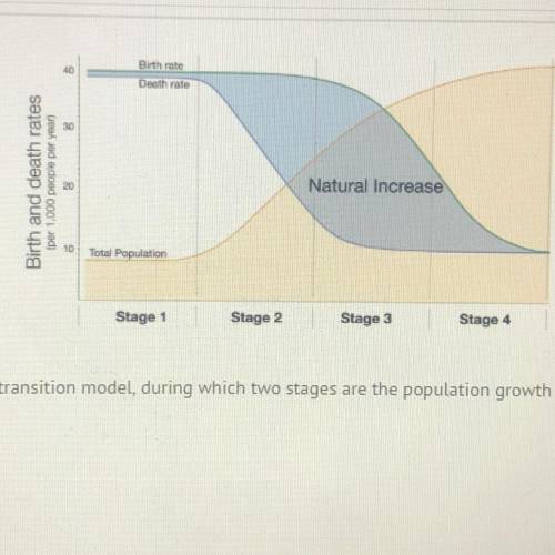 According to the demographic transition model, during which two stages are the population growth rat
