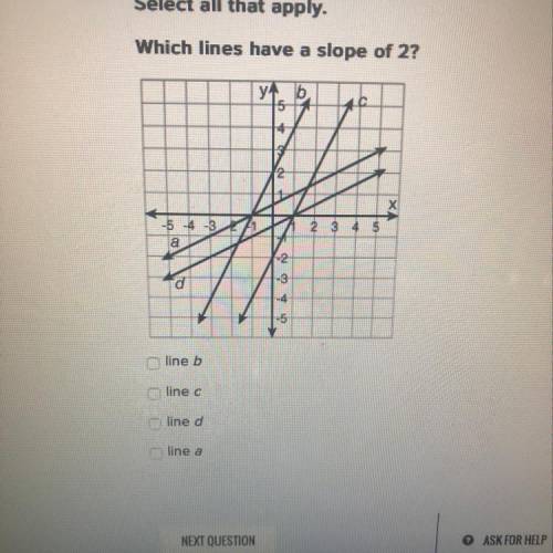 Which line has a slope of 2 and please tell me how to figure it out on my own
