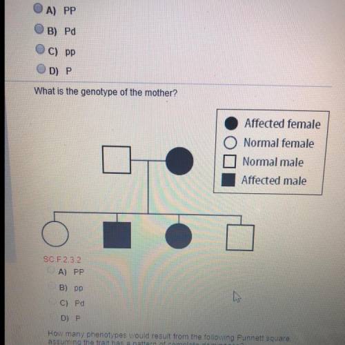 What is the genotype of the mother? A. PP B. pp C. Pd D. P