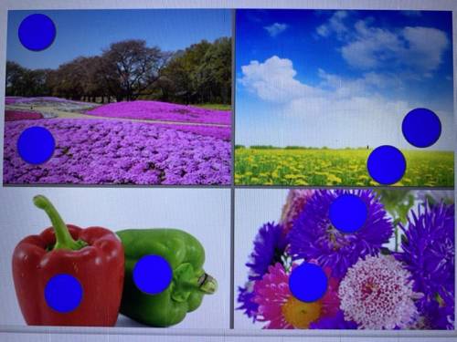 Pleasee help!!  in the collage, pick the objects that reflect the primary colors of light.