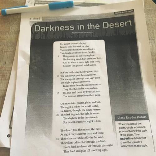 What is the theme of the poem Darkness in the desert, by Morena Sommers?