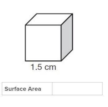 What is the surface area plz show work or explain work.