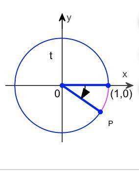 A point P(x,y) is shown on the unit circle corresponding to a real number t. Find the values of the
