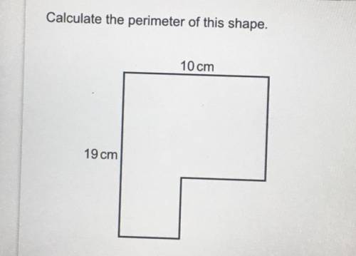Calculate the perimeter of this shape: 19cm and 10cm given.