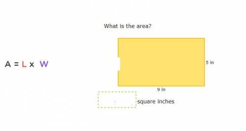 What is the area?? pls help