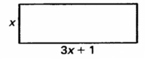Please help me  Referring to the figure, the perimeter of a rectangle is the sum of the lengths of i