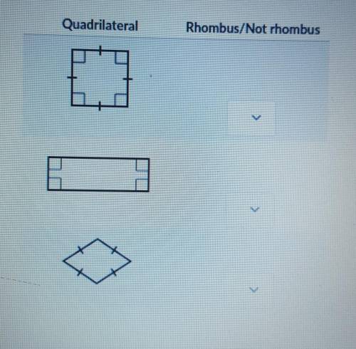 which if these quadrilaterals are rhombuses ??