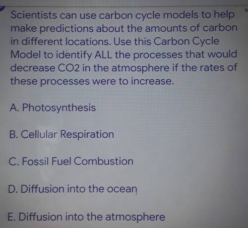 If all the options above increase, which ones would serve to remove CO2 from the atmosphere?