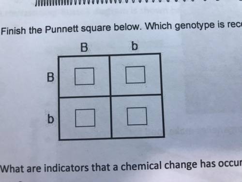 Finish the Punnett square below. Which genotype is recessive? what are 3 indicators that chemical ch