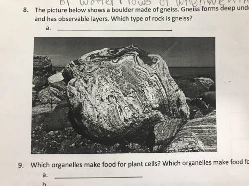 The picture below shows a boulder made of gneiss.Gneiss forms deep underground due to heat and press