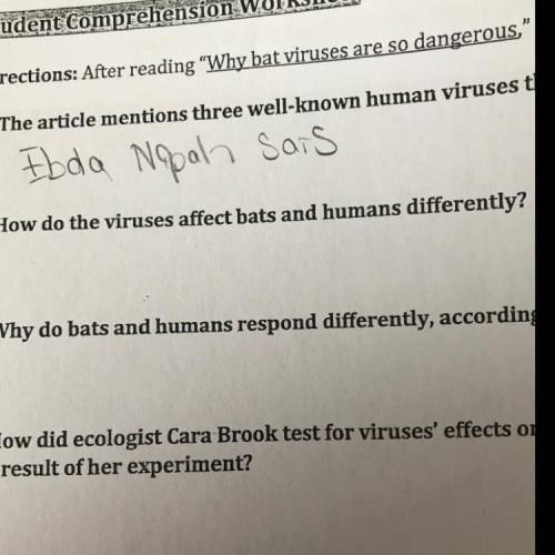 How do the viruses affect bats and humans differently