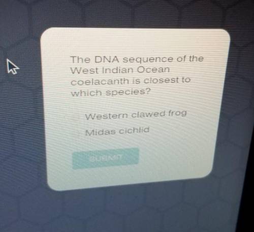 The DNA sequence of theWest Indian Oceancoelacanth is closest towhich species?